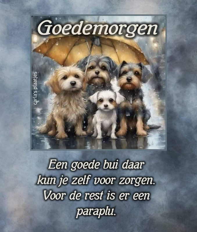 a125e978d3996f69e72539c076a5e339