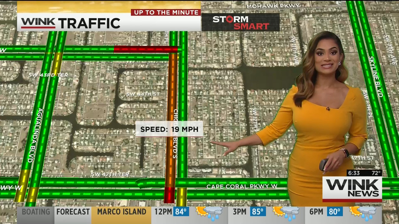 15 May - 11.00.00 - WINK News This Morning..ts_snapshot_15.25_[2020.05.15_23.35.04]