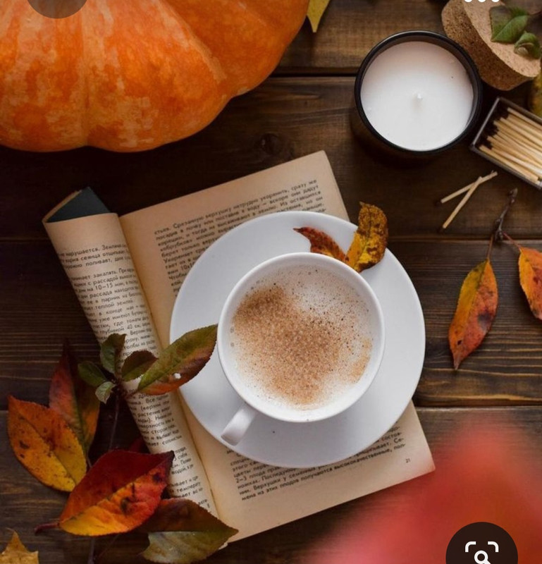 Screenshot_20231008_222102_Pinterest