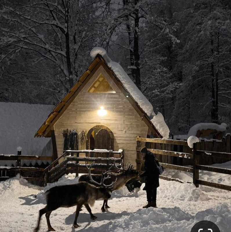 Screenshot_20231124_230640_Pinterest