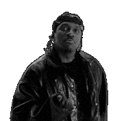 IMG-3641.gif