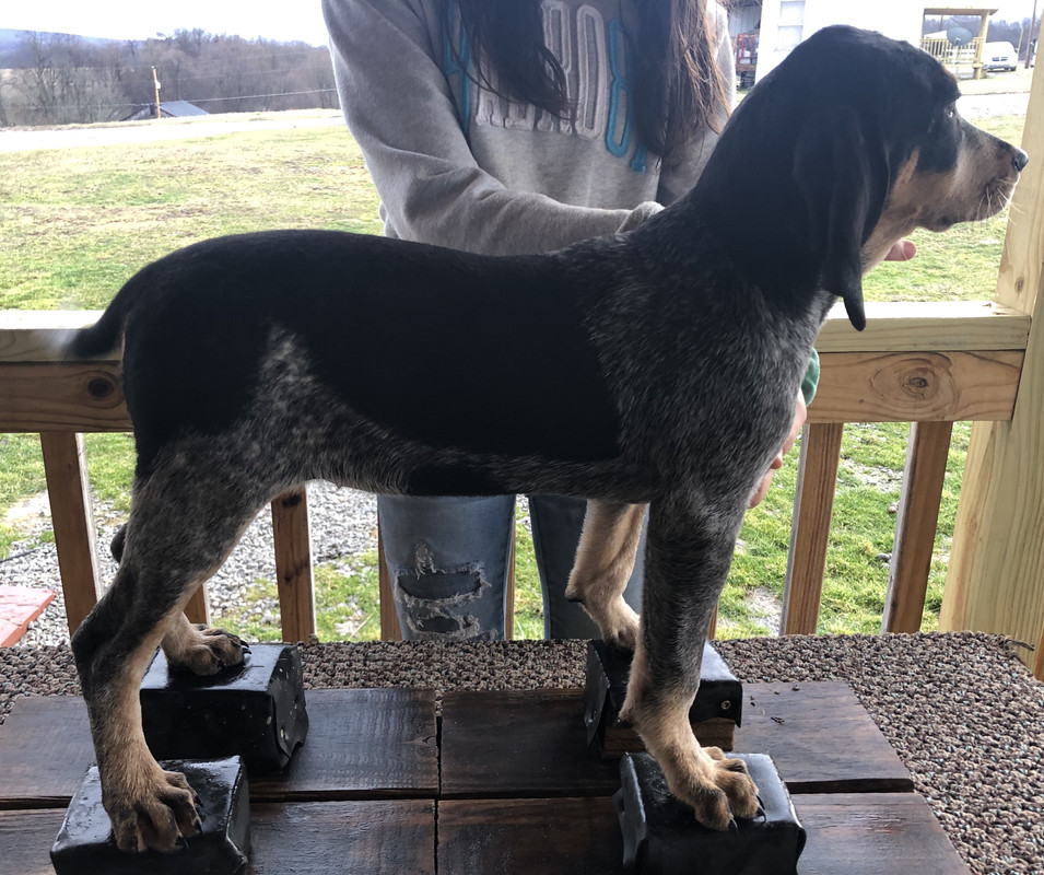 434D0745-E270-43C7-A84B-09D7A47AE7EE