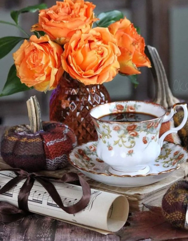 Screenshot_20230211_150519_Chrome