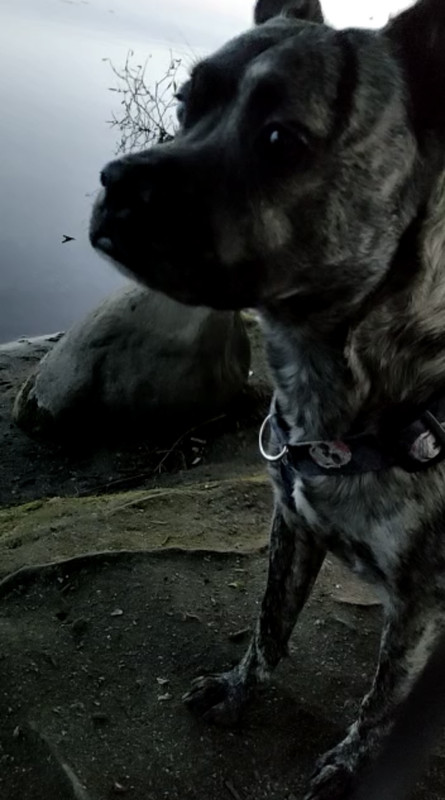 FE62B876-DA06-4854-A0C7-18F9E7A302F2