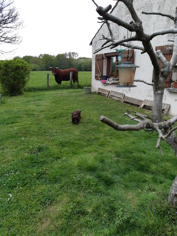 [Image: 20210429-182040.jpg]