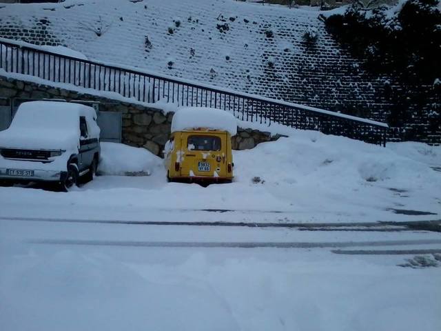 10950661_10204892027773368_3276211841266173306_n