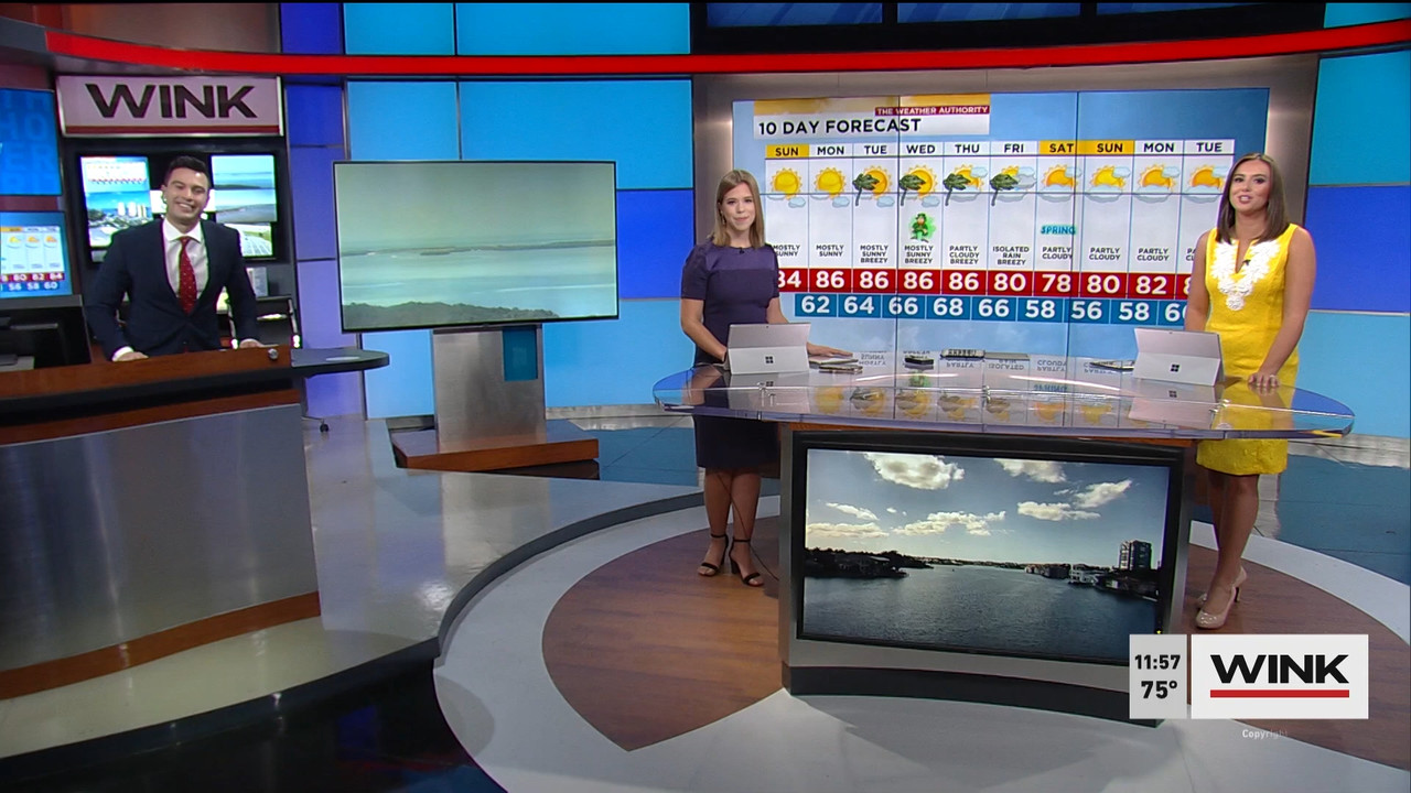 03.14 - 15.30.00 - WINK News @ 11 30AM. Local news, sports and weathe....ts_snapshot_29.02.702