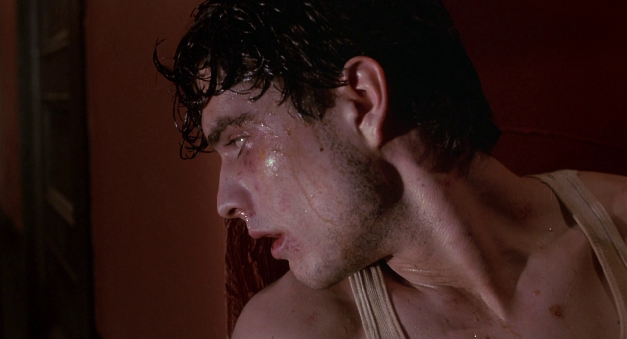 vlcsnap-2023-01-06-15h34m09s430