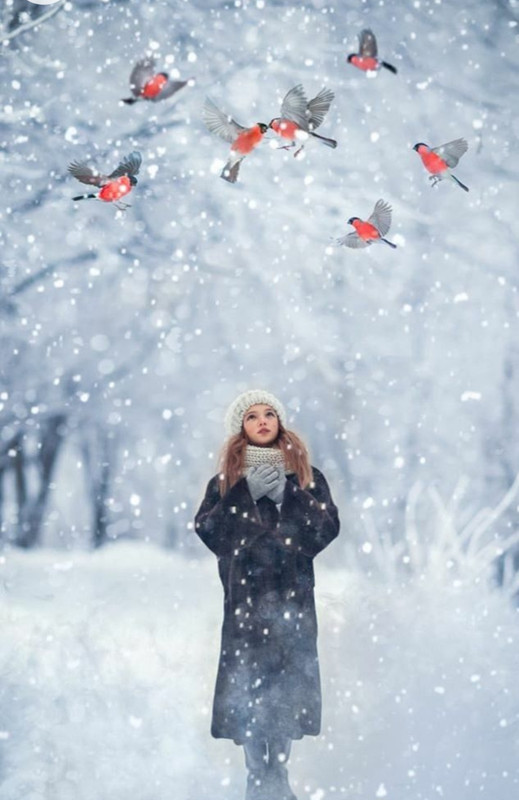 Screenshot_20230212_195630_Chrome