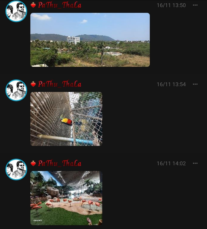 Screenshot 20251117 060515 Opera