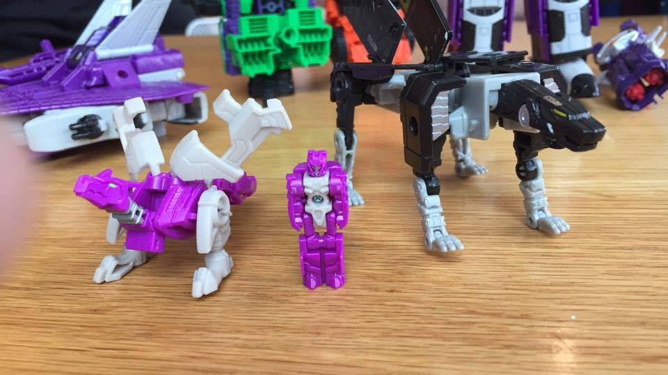 10255428_979828942103515_2811869047844984246_n