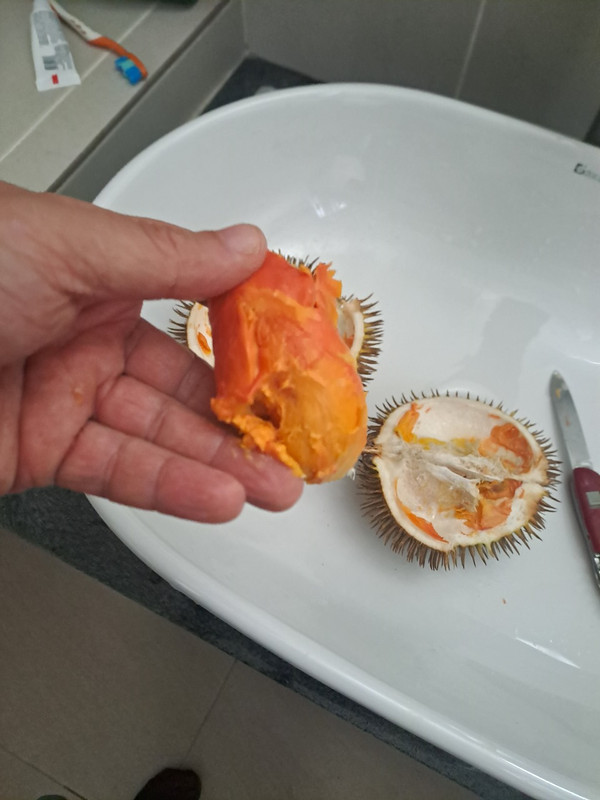 Whats App Image 2025 11 27 at 18 17 02 a49214f2