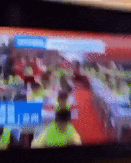 https://i.postimg.cc/hvpVvXqN/8.gif