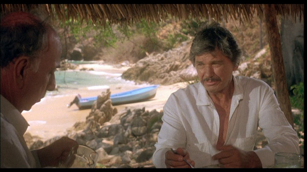 vlcsnap-2024-12-30-18h38m53s392