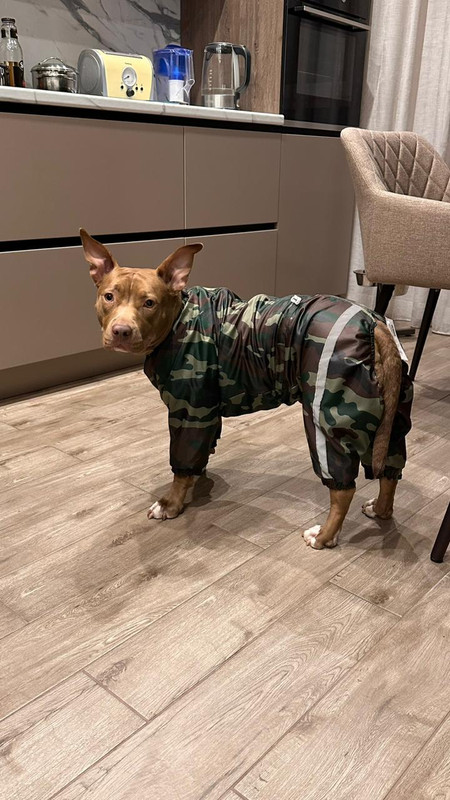 13CC1276-A16D-4AB9-93A5-8C5DB2194D0E