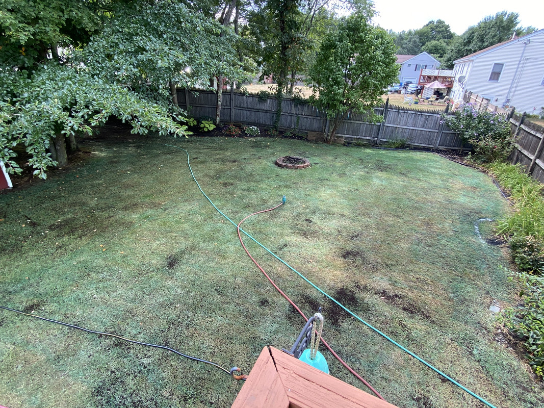 8174A375-7729-465D-AE49-44676782AF21