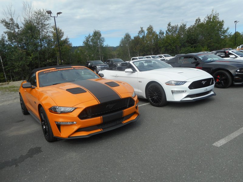 Rendez-Vous Mustang Cliche Auto Ford - 14 août 2022 Cliche2022-33