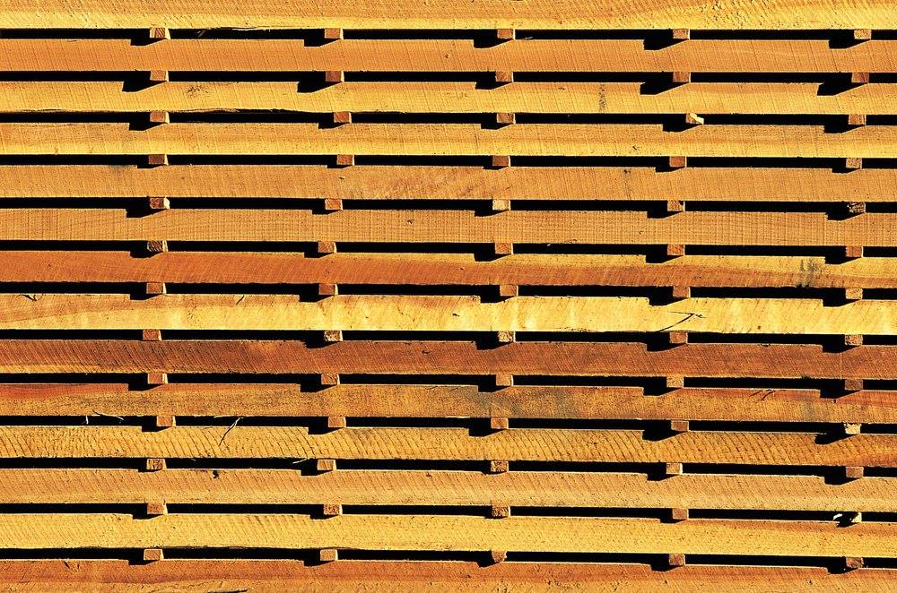 wood-texture-3dsmax-78