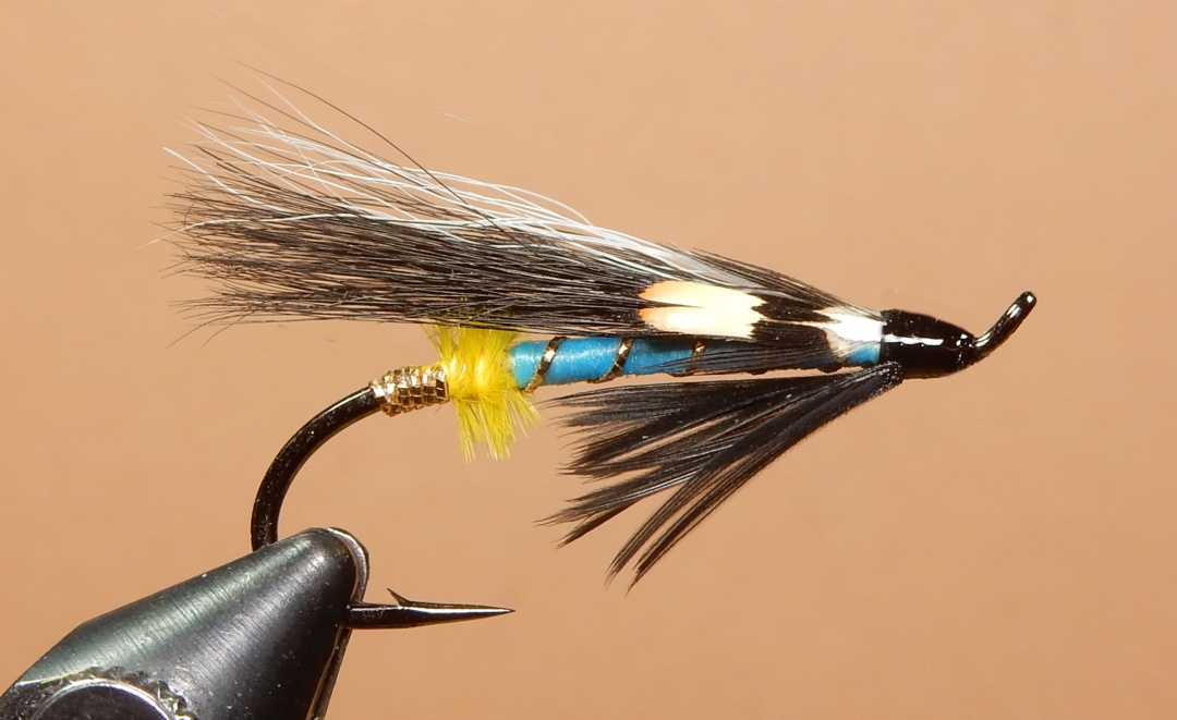 Blue-Skunk-1080.jpg