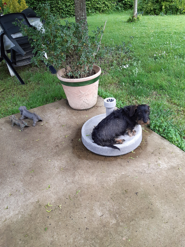 [Image: 20230508-172518.jpg]