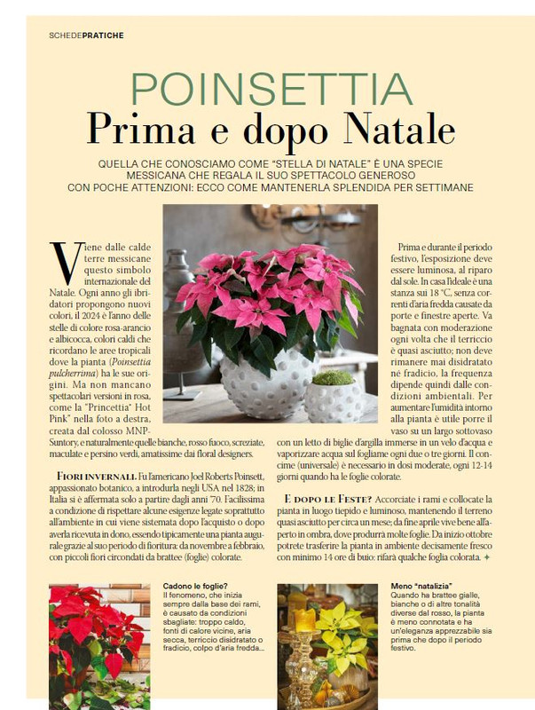 Il Mio Giar Dic 2024-Gen 2025 (11)