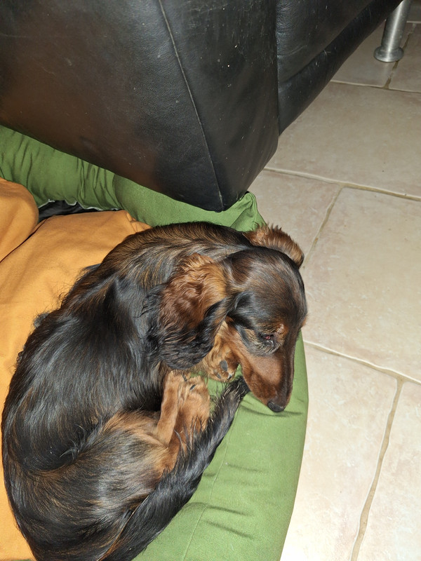 [Image: 20240203-141137.jpg]