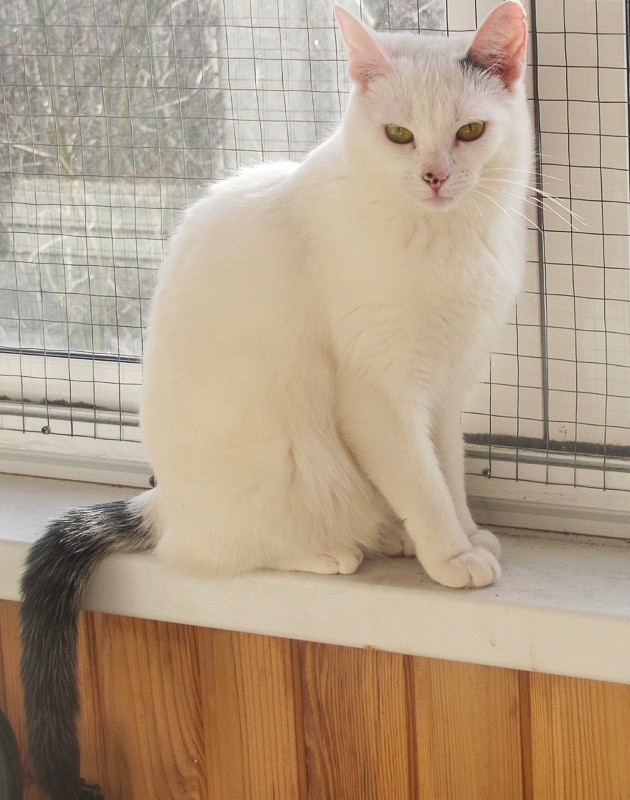 IMG-7fa7f770a76a35bf809b37ee49dcce81-V