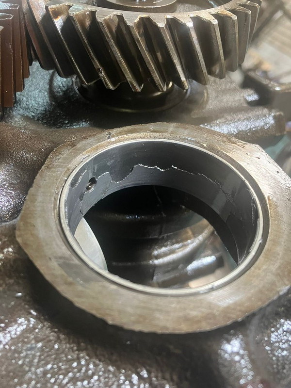 PHOTO-2023-07-12-17-05-49_1