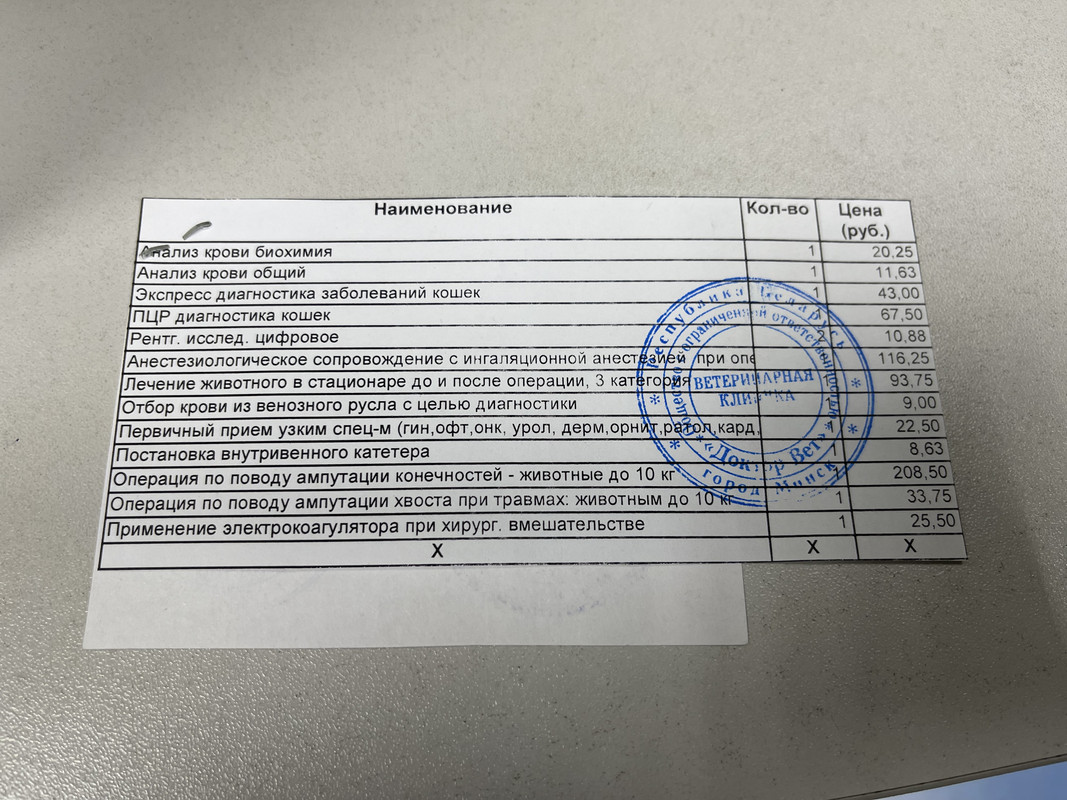 86862C88-DB76-47BA-A19E-55092854E29B