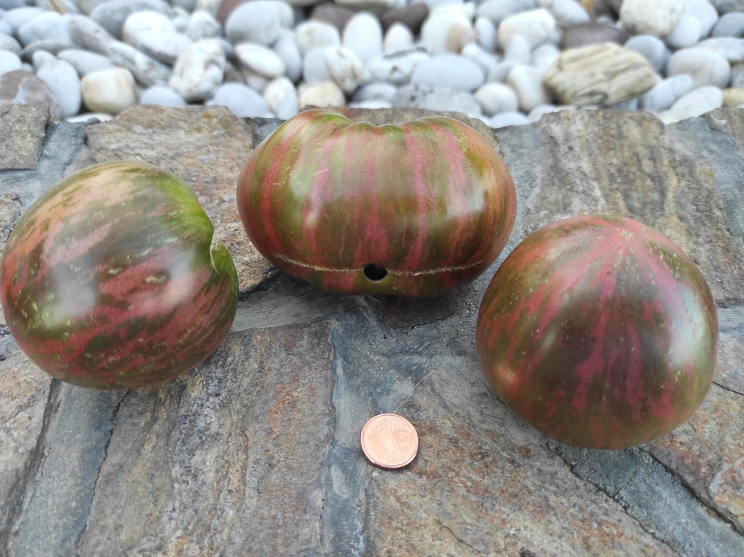 541788305_24454950994123936_7042960099948750346_n