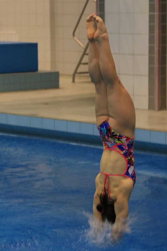 swim205-dive_2