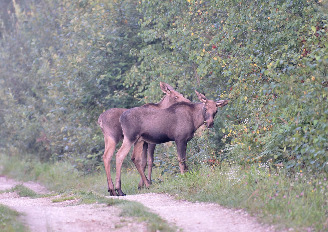 venTD4kujnN66Uf9dguMbyegbR8jix6DHMyICPhy4fov8K9kg3qovzEebMnLJ-wqFaliJ9h_l5q9i2SrVIP1_aZ9