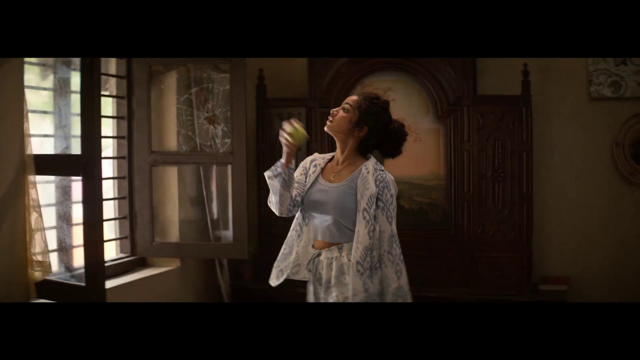 vlcsnap 2025 11 09 16h37m00s620