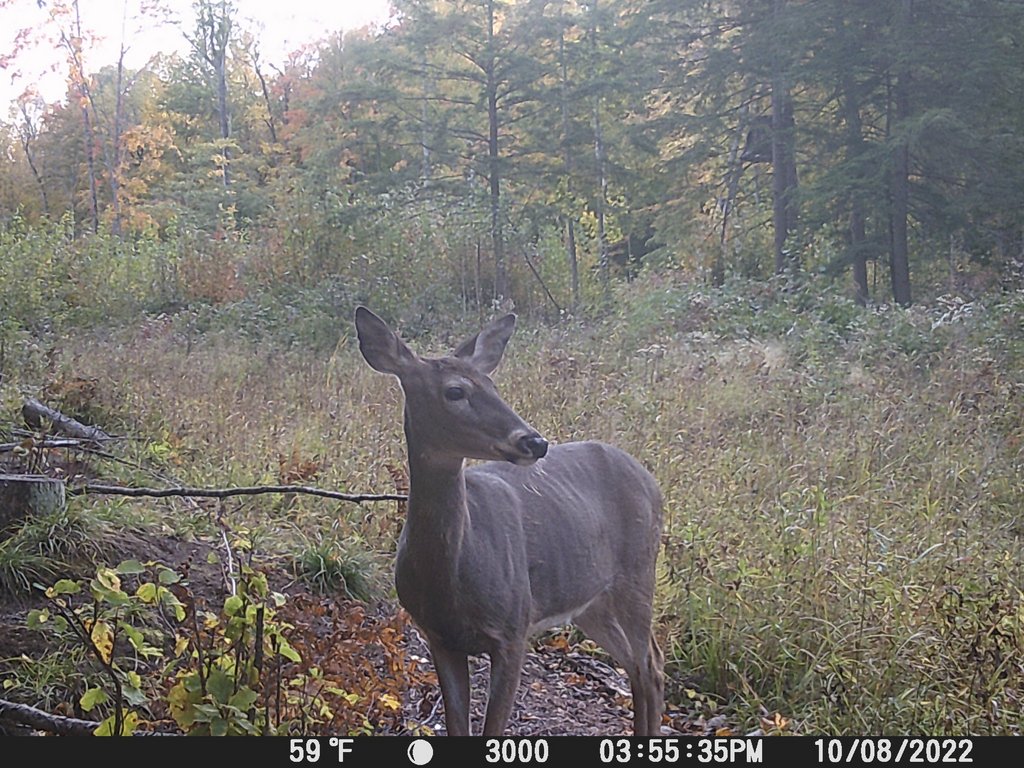 F5D88BE4-6464-43E8-BE41-6E9D2FC7BBB9