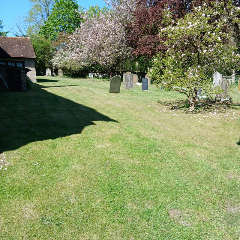 d5616990 157c 4517 86b9 30db468c6ffb