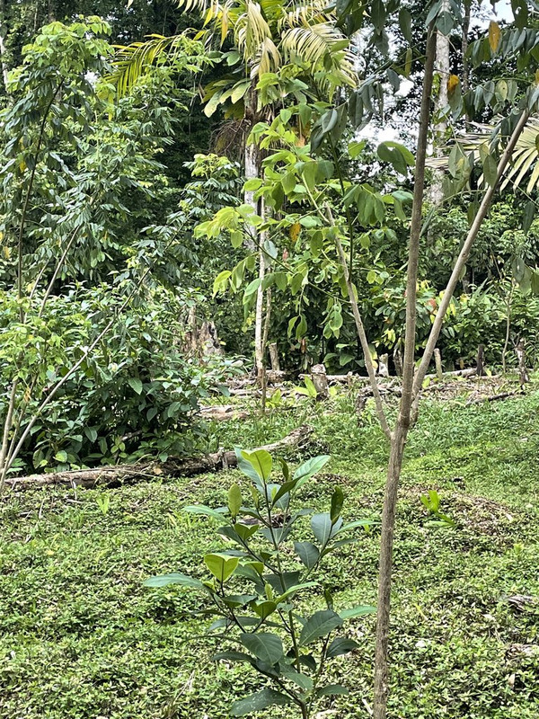 F730905A-5AD1-495B-9803-42B3F6AD9136