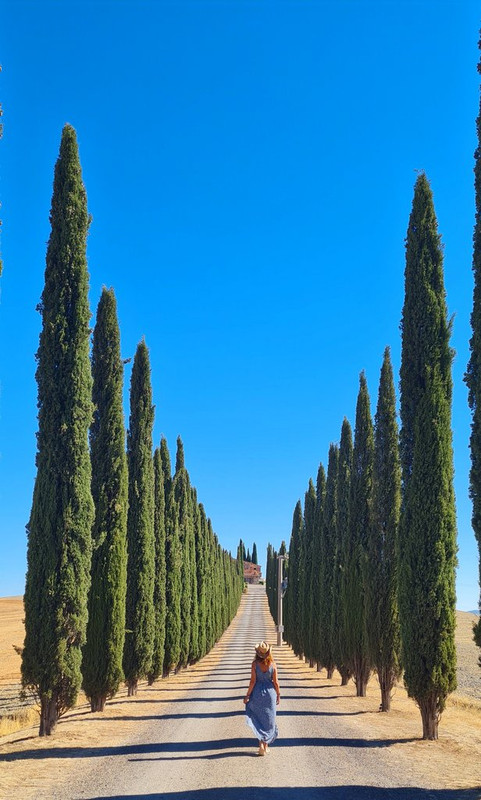 La Toscana 2022: entre termas y cipreses - Blogs de Italia - Los cipreses creen en Dios...y más en Val D'Orcia (6)