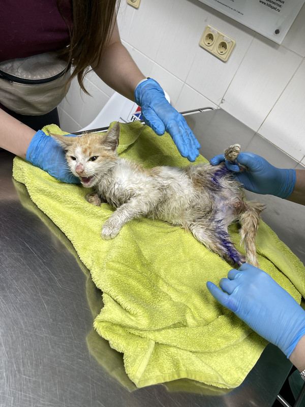 4D8DD7E0-00CD-43A9-A65A-451DF8B1BBA8