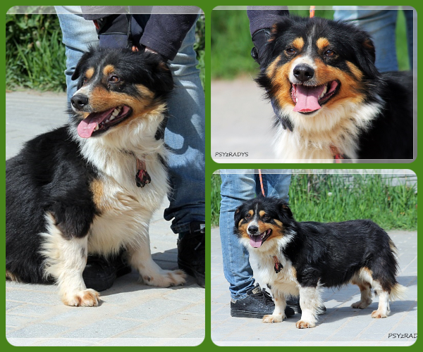 BeFunky-collage (15)