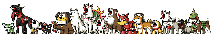 My Dogs