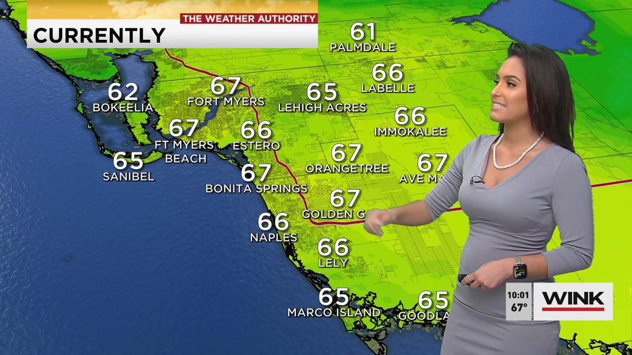 01.21 - 15.00.00 - WINK News at 10 00AM..ts_snapshot_00.07.53.999