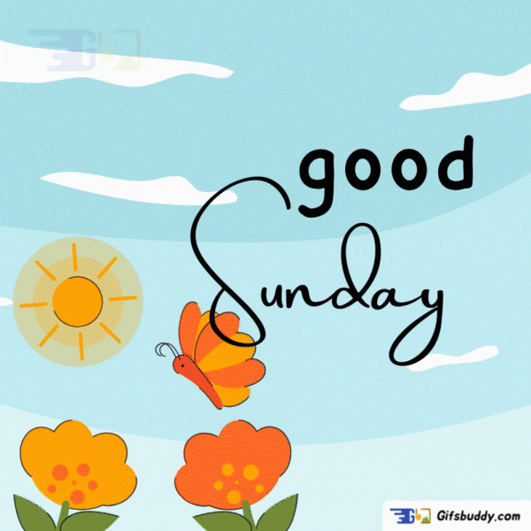 Gif-Happy-Sunday