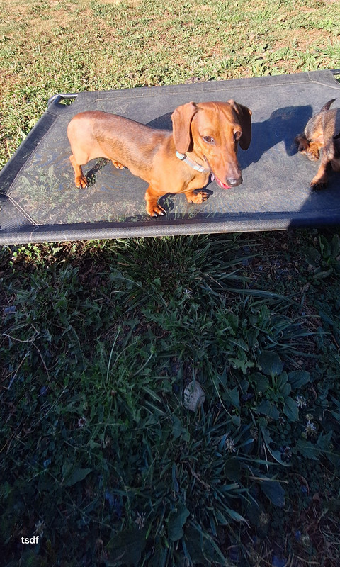 [Image: 20250628-191209.jpg]