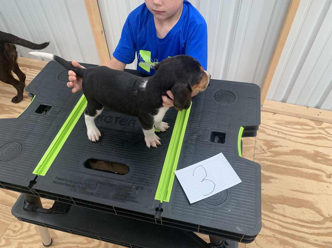 60777A18-3F9E-4E06-9571-269DC284F6C0