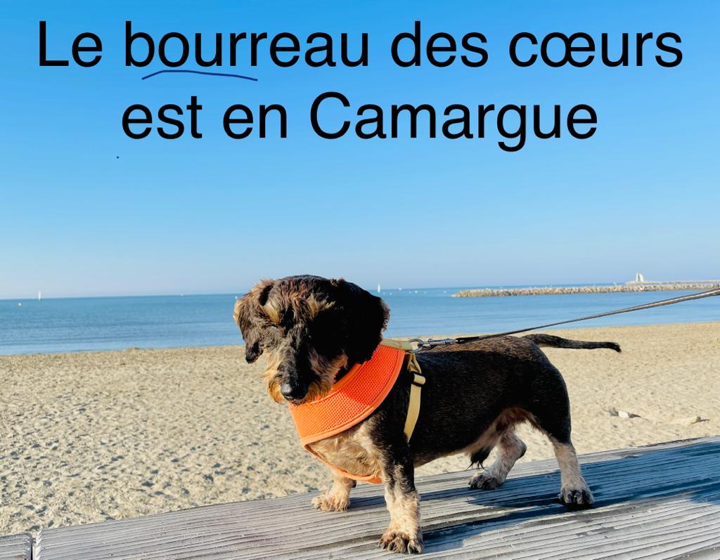 [Image: 935a3edf-06b4-48b8-8c03-4ab26c17301a.jpg]