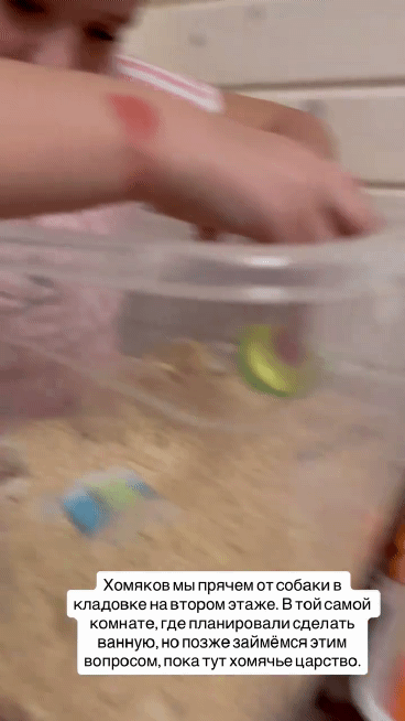 instasaved 24 11 2025 1 1