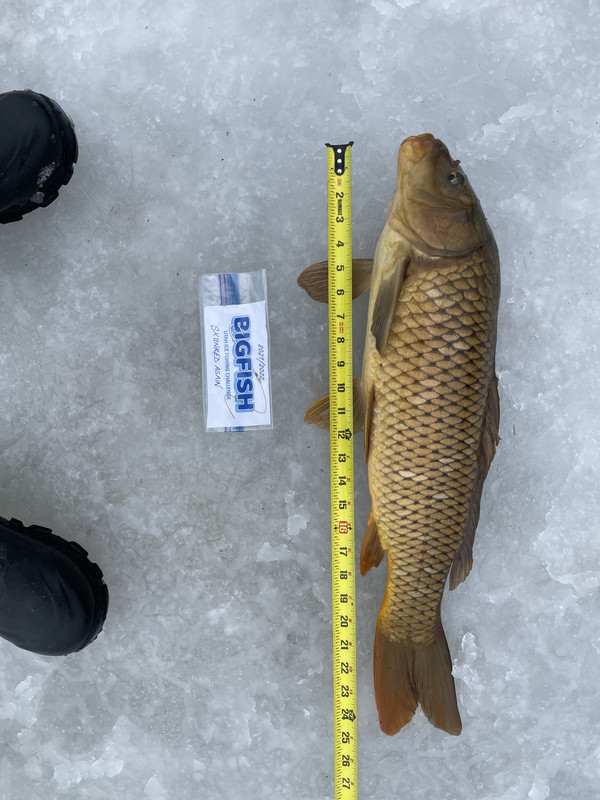 86D65F11-EAC6-4FBE-950A-A156F0EAB223