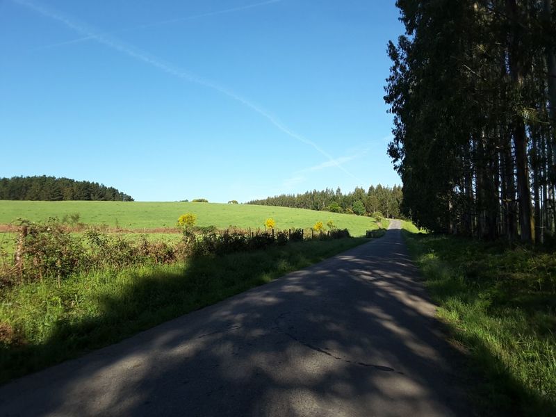 IMG-20170520-WA0007