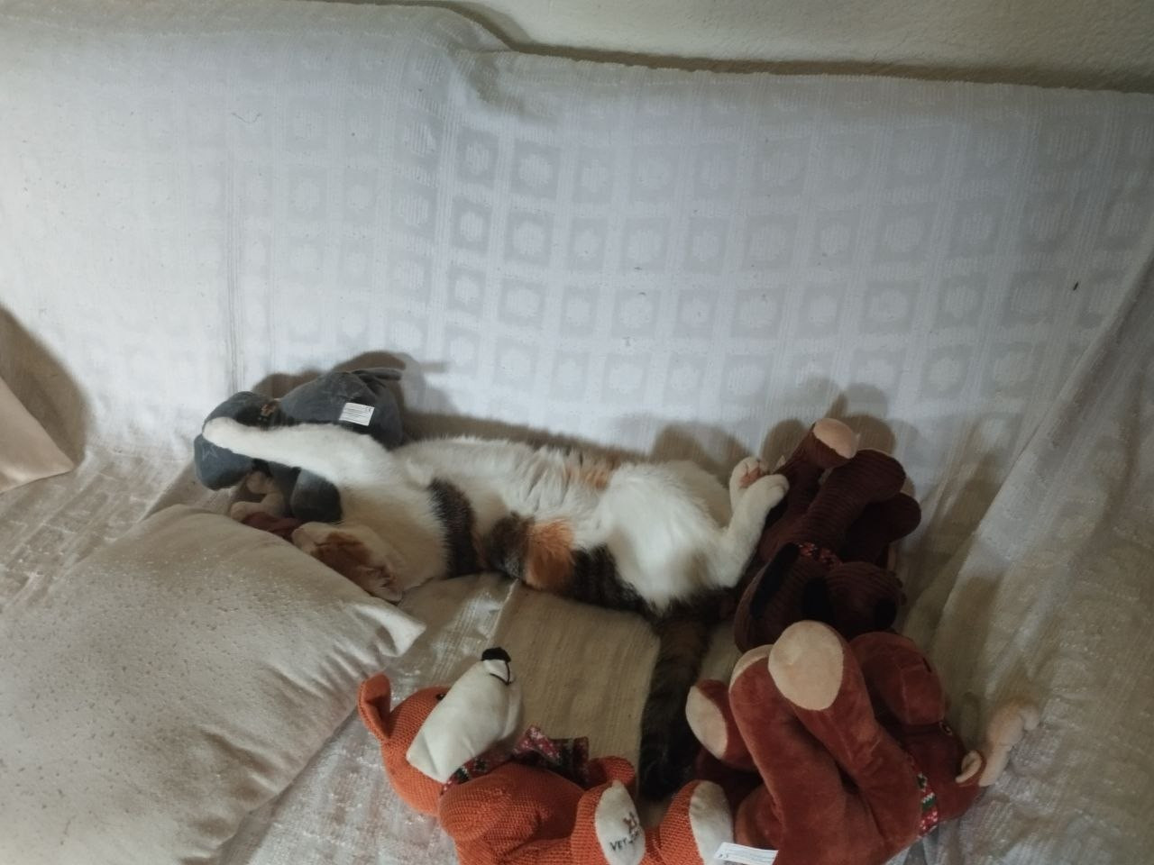photo 2026 06 27 16 21 14