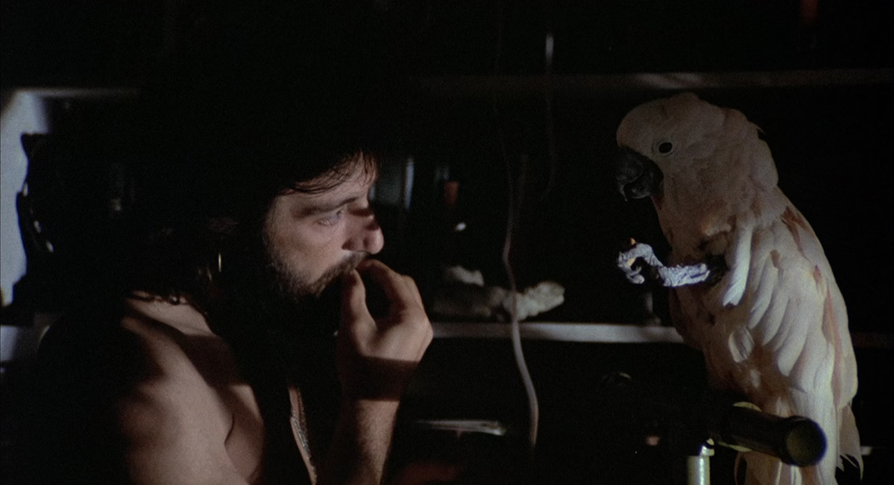 Serpico 1973 (1080p x265 10bit Tigole).mkv_snapshot_01.15.30_[20